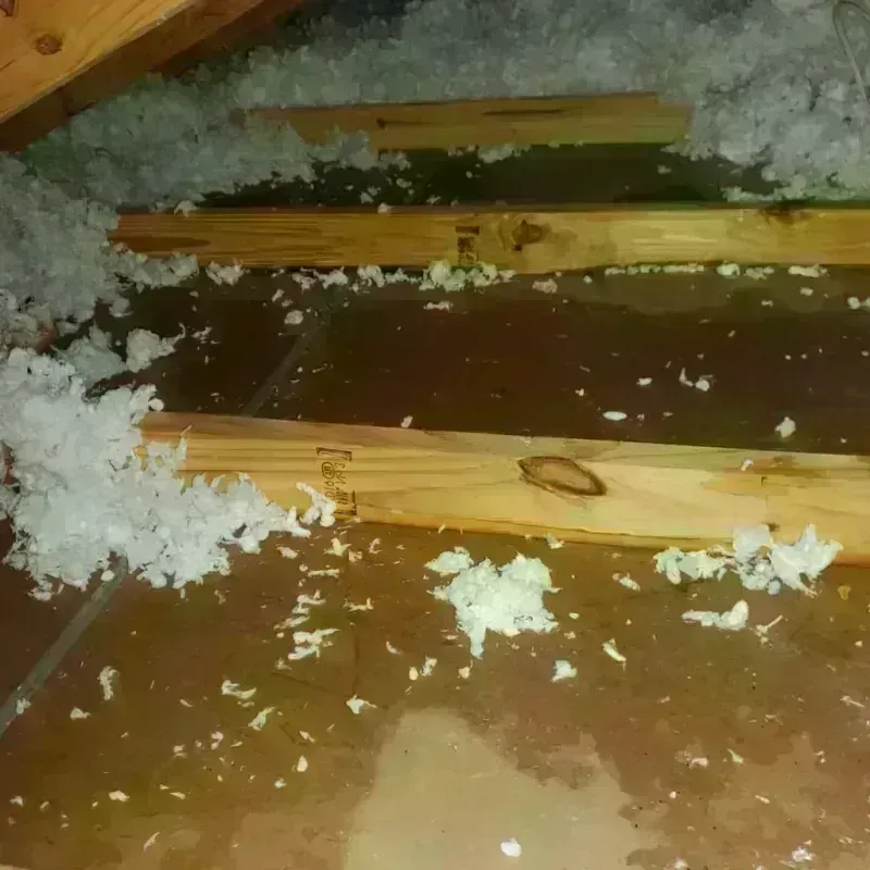 Attic Water Damage in Martinsville, IL