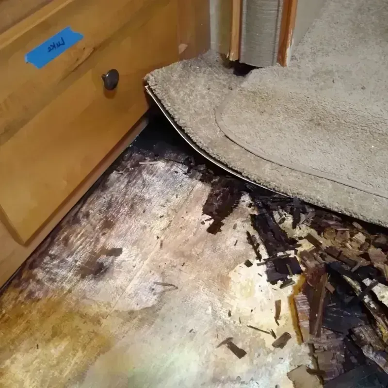 Wood Floor Water Damage in Martinsville, IL